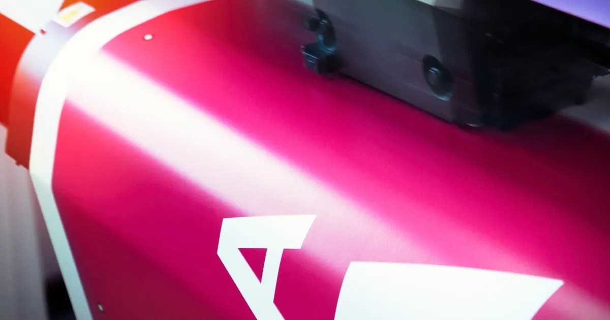 skipping professional printing advice